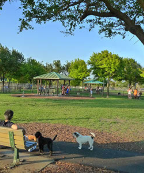 Mizner online dog park